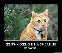 ЖИТЬ МОЖНО И НА УКРАИНЕ Но грустно...