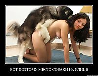 ВОТ ПОЭТОМУ МЕСТО СОБАКИ НА УЛИЦЕ 