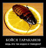 БОЙСЯ ТАРАКАНОВ