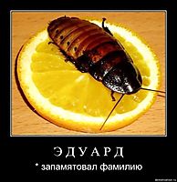 Э Д У А Р Д * запамятовал фамилию