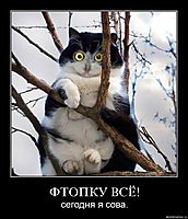 ФТОПКУ ВСЁ! сегодня я сова.