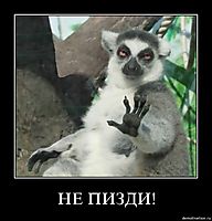 НЕ ПИЗДИ! 