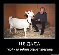 HE ДAЛА гнойная гебня отвратительна