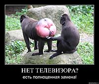 НЕТ ТЕЛЕВИЗОРА? есть полноценная замена!