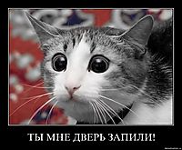 ТЫ МНЕ ДВЕРЬ ЗАПИЛИ! 