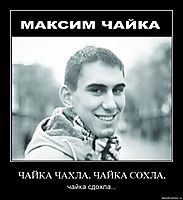 ЧАЙКА ЧАХЛА, ЧАЙКА СОХЛА, чайка сдохла...