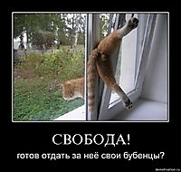 СВОБОДА! готов отдать за неё свои бубенцы?
