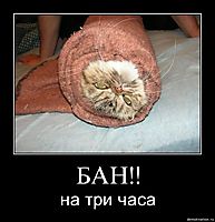 БАН!! на три часа