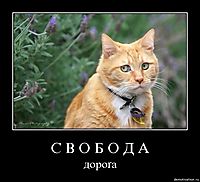 С В О Б О Д А дороґа