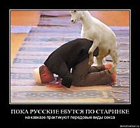 ПОКА РУССКИЕ ЕБУТСЯ ПО СТАРИНКЕ на кавказе практикуют передовые виды секса