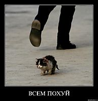 ВСЕМ ПОХУЙ 
