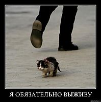 Я ОБЯЗАТЕЛЬНО ВЫЖИВУ 