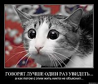 ГОВОРЯТ ЛУЧШЕ ОДИН РАЗ УВИДЕТЬ... а как потом с этим жить никто не объяснил...