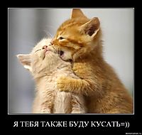 Я ТЕБЯ ТАКЖЕ БУДУ КУСАТЬ=)) 