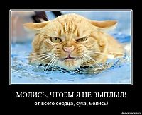 МОЛИСЬ, ЧТОБЫ Я НЕ ВЫПЛЫЛ! от всего сердца, сука, молись!