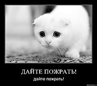 ДАЙТЕ ПОЖРАТЬ! дайте пожрать!