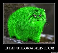 ШТИРЛИЦ ОБЗАВИДУЕТСЯ! 