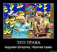 ЭТО ТРАВА подумал Штирлиц. Чёртова трава.