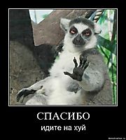 СПАСИБО идите на хуй