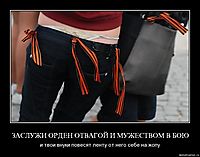 ЗАСЛУЖИ ОРДЕН ОТВАГОЙ И МУЖЕСТВОМ В БОЮ и твои внуки повесят ленту от него себе на жопу
