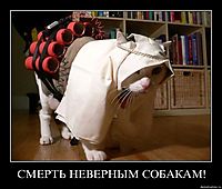 СМЕРТЬ НЕВЕРНЫМ СОБАКАМ! 