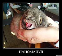 НАНОМАНУЛ 