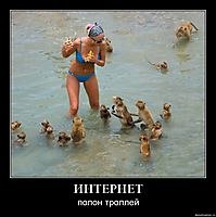 ИНТЕРНЕТ полон троллей