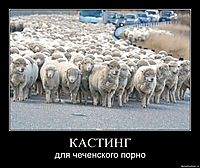 КАСТИНГ для чеченского порно