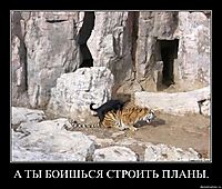 А ТЫ БОИШЬСЯ СТРОИТЬ ПЛАНЫ. 
