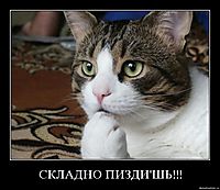 СКЛАДНО ПИЗДИ'ШЬ!!! 