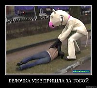 БЕЛОЧКА УЖЕ ПРИШЛА ЗА ТОБОЙ 