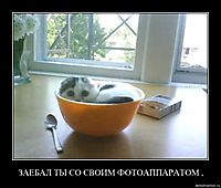 ЗАЕБАЛ ТЫ СО СВОИМ ФОТОАППАРАТОМ , 