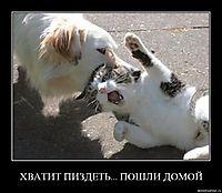 ХВАТИТ ПИЗДЕТЬ... ПОШЛИ ДОМОЙ 