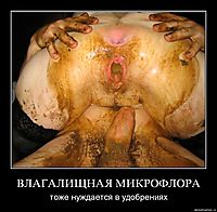 ВЛАГАЛИЩНАЯ МИКРОФЛОРА тоже нуждается в удобрениях