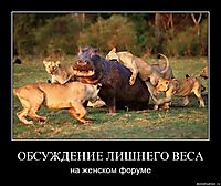 ОБСУЖДЕНИЕ ЛИШНЕГО ВЕСА на женском форуме
