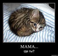 МАМА... где ты?