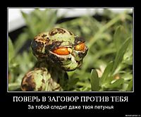ПОВЕРЬ В ЗАГОВОР ПРОТИВ ТЕБЯ