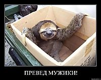 ПРЕВЕД МУЖИКИ! 