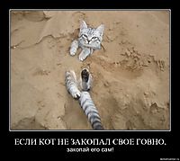ЕСЛИ КОТ НЕ ЗАКОПАЛ СВОЕ ГОВНО, закопай его сам!