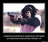 СЕВЕРНАЯ КОРЕЯ И ЯДЕРНОЕ ОРУЖИЕ для окружающего мира выглядит примерно так