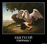 ЕБИ ГУСЕЙ ГОВОРИШЬ ?