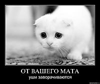 ОТ ВАШЕГО МАТА уши заворачиваются