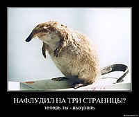 НАФЛУДИЛ НА ТРИ СТРАНИЦЫ? теперь ты - выхухоль