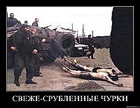 СВЕЖЕ-СРУБЛЕННЫЕ ЧУРКИ 