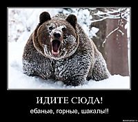 ИДИТЕ СЮДА! ебаные, горные, шакалы!!