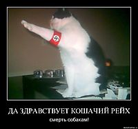 ДА ЗДРАВСТВУЕТ КОШАЧИЙ РЕЙХ смерть собакам!