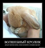 ВОЛШЕБНЫЙ КРОЛИК рисует мелом нолик, стихи сочиняет, по маме скучает