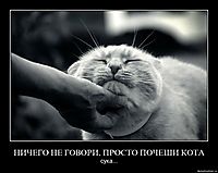 НИЧЕГО НЕ ГОВОРИ, ПРОСТО ПОЧЕШИ КОТА сука...