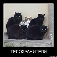 ТЕЛОХРАНИТЕЛИ 