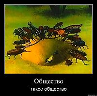 Общество такое общество
